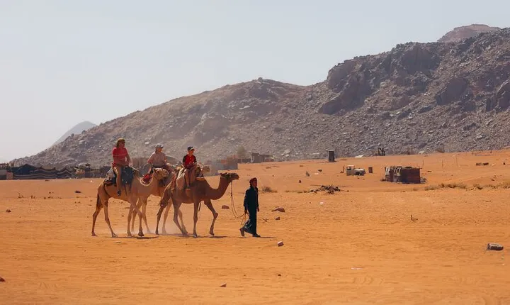 1 Day & 1 Night | Stay & Jeep + Camel Tour in Wadi Rum | Magic Bedouin Star