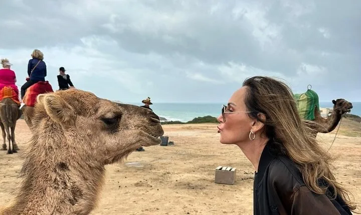 Vip Full Day Private Tangier Tour From Malaga All Inclusive