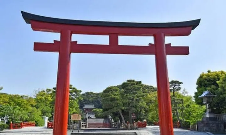 One day fully customize the tour for kamakura and Yokohama