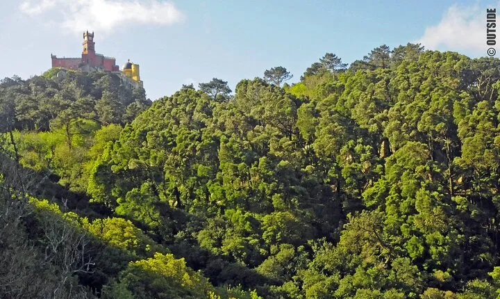 Rock Climbing in Sintra, Lisbon