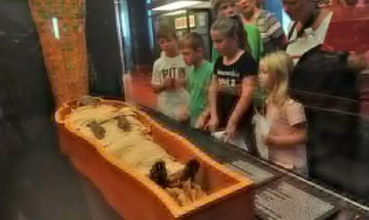 Skip the Line Vatican and Sistine Chapel Tour for Kids and Family