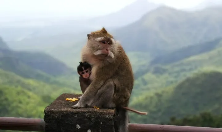 Mauritius Guided South Tour (Private)