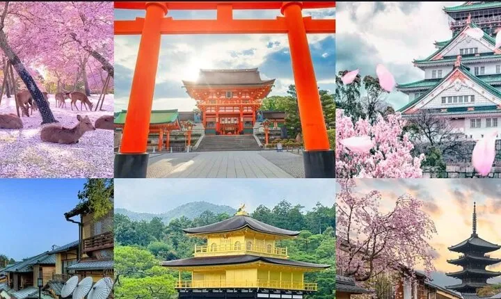 3 Day Private Osaka Kyoto and Nara Tour
