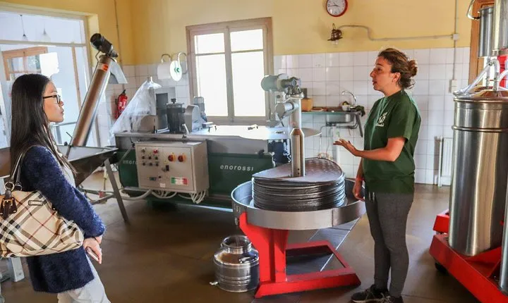 Semi Private Wine, Olive Oil, and Terroir Tour of Heraklion area with Tastings