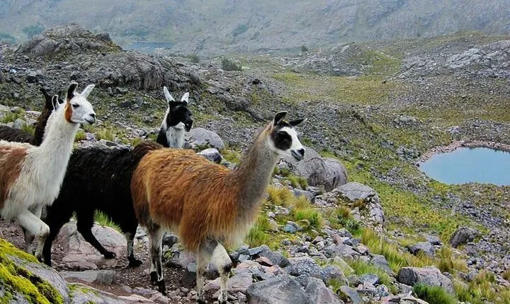 The Hidden Routes of the Incas
