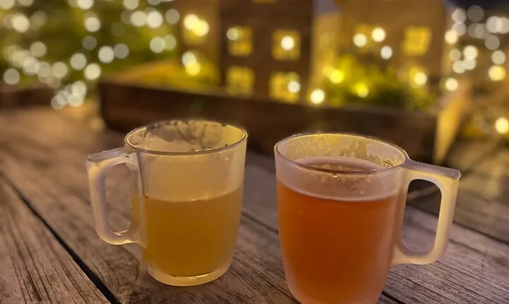 Mulled wine walk around Karlsruhe Castle