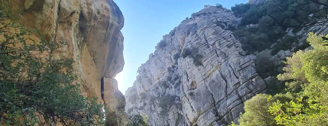 Private Hiking with transfer | Canuto de la Utrera