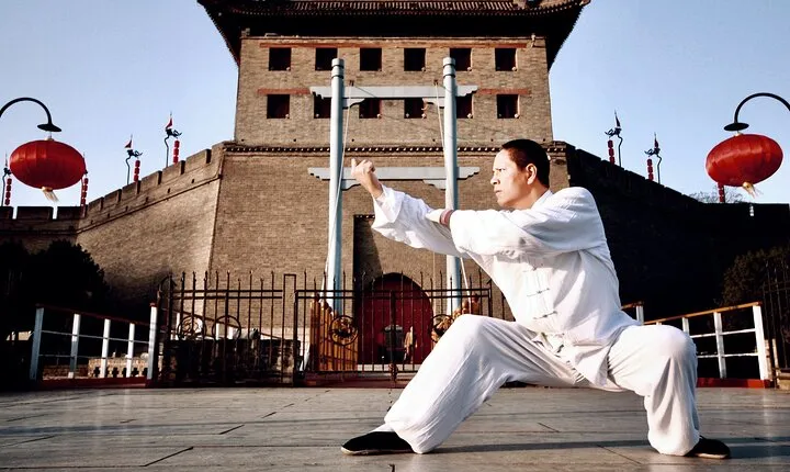 Private Day Tour of Chinese Kungfu and Terra-cotta Warriors