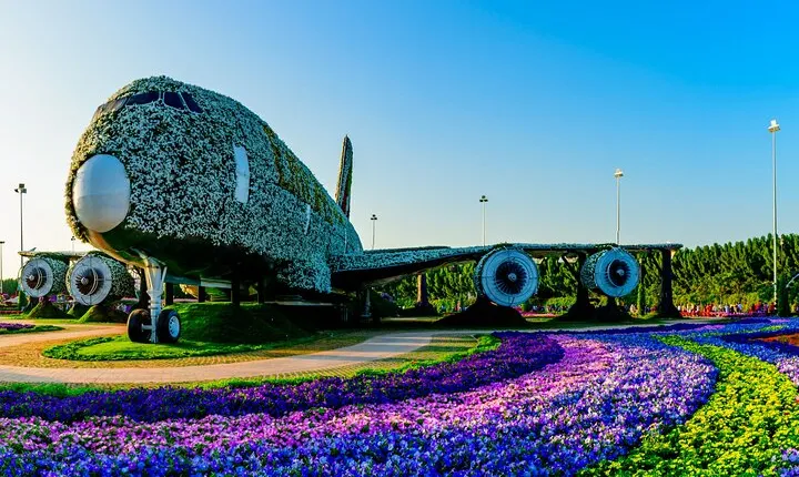 Admission Ticket to Butterfly Garden Dubai