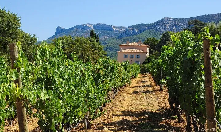 Two intensive days discovering the exceptional wines of Provence
