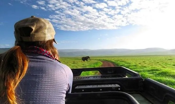 Ngorongoro Crater Day Tour