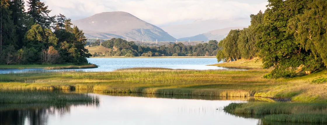Cairngorms National Park and Speyside Whisky day tour from Inverness