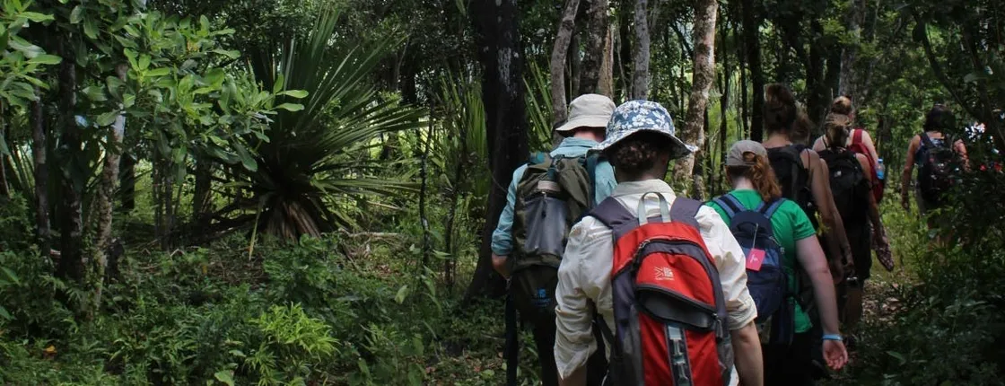 Mauritius Ebony Forest and hiking tour