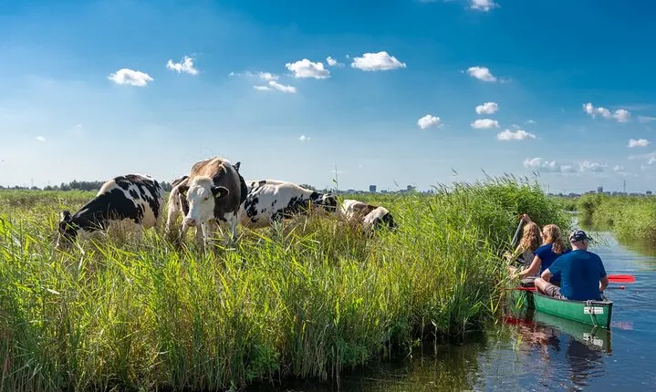Guided Canoe Adventure with Picnic Lunch in Waterland from Amsterdam