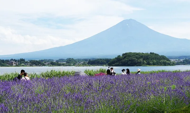 Private Full Day Tour in Mt. Fuji with Pickup