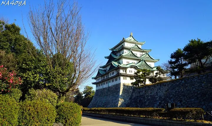 Private Transfer between Chubu Centrair Int'l Airport and Nagoya