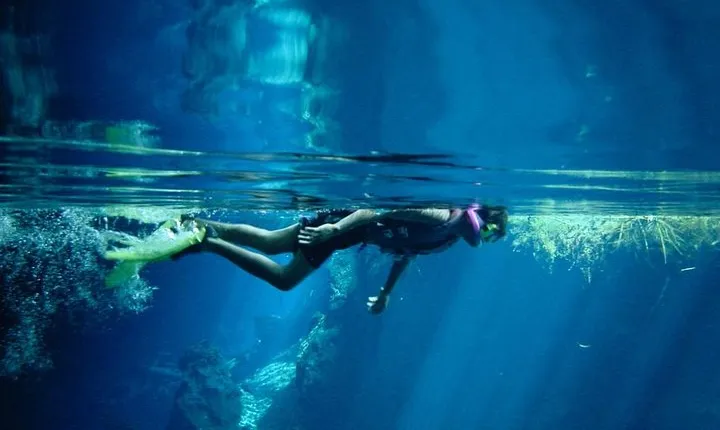 Cozumel Snorkeling Tour from Playa del Carmen