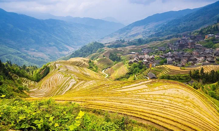 Longji Rice Terraces and Minority Village Day Tour
