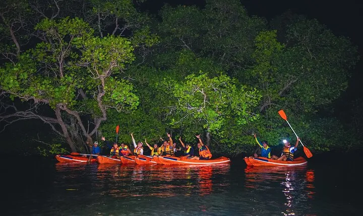 Evening Bali Mangrove Canoe Tour