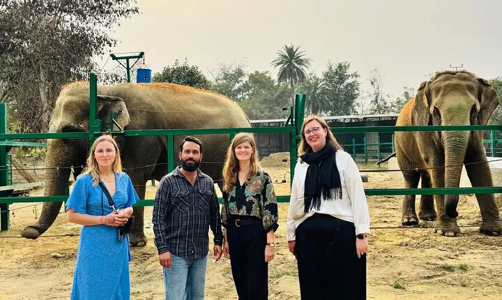Taj Mahal & Wildlife SOS Elephant Sanctuary Tour from Delhi/Agra