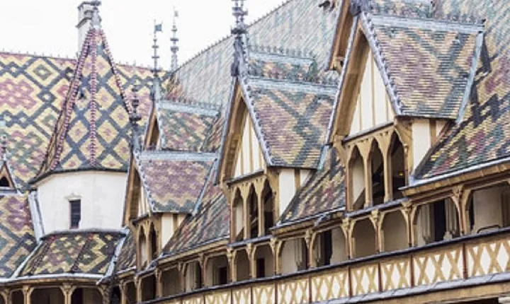 BURGUNDY : Wine Tasting & Visits- Private Day Trip From Paris