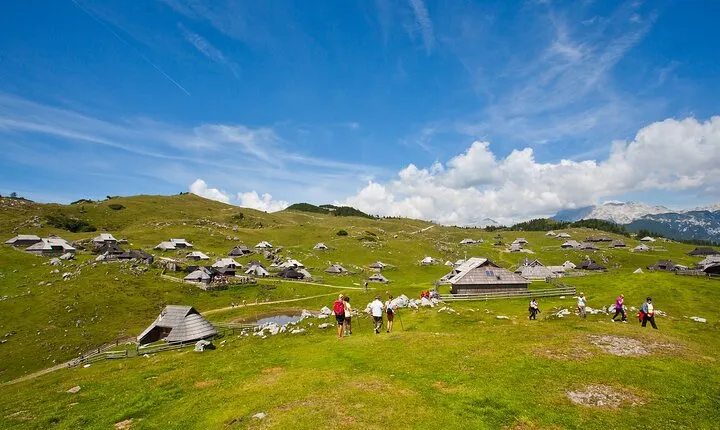 Velika planina and Logarska dolina with picnic (private tour)