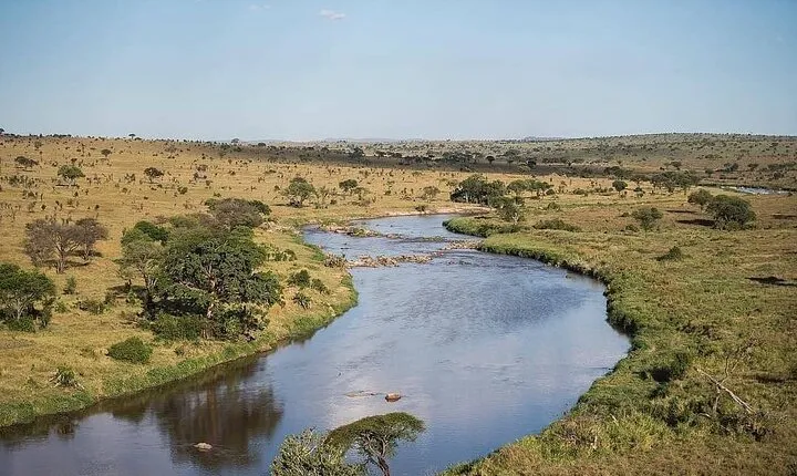 5 Day Camping Safari at Lake Manyara, Serengeti and Ngorongoro