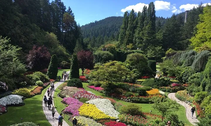 Private Tour Countryside Drive to Butchart Gardens & Victoria