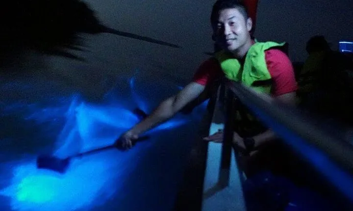 Amazing Fireflies With Blue Tears Watching & Kuala Selangor Tour