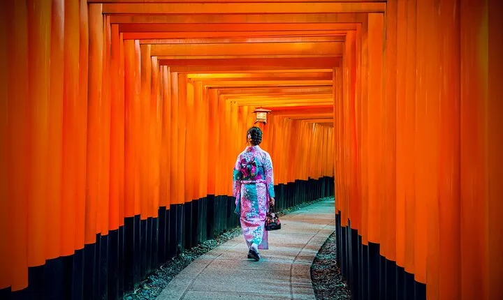 Kyoto Full Day Tour with a Local Travel Companion