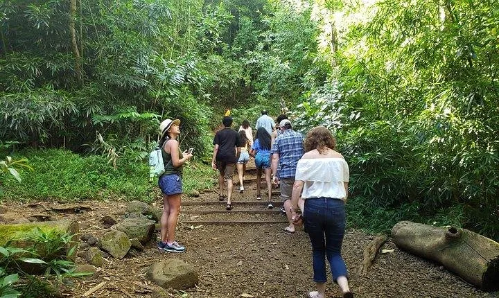 ETOHI: Exclusive Island Tour - Oahu • Private • Custom • No Rush