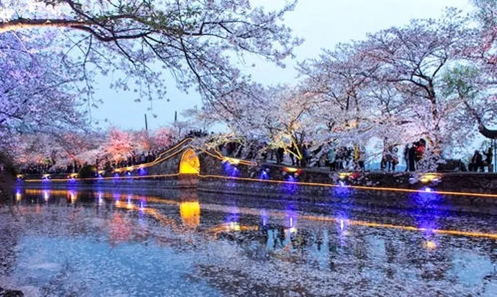 Wuxi Self-Guided Tour from Suzhou by Private Car