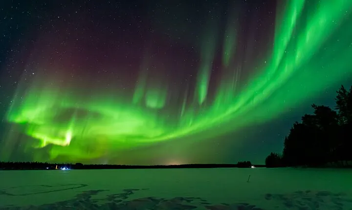 Auroras Family School of Small Hunters with BBQ