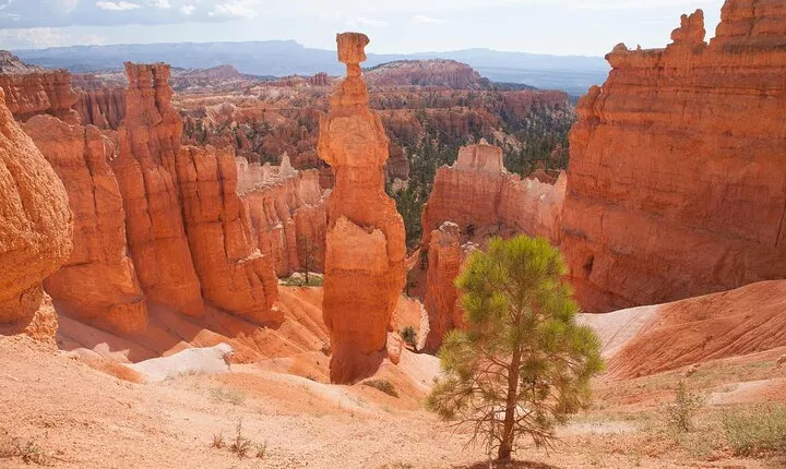 Bryce Canyon and Zion National Park Tour