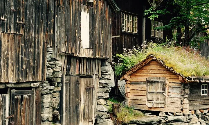 Private tour from Ålesund to Geiranger up to 15 people
