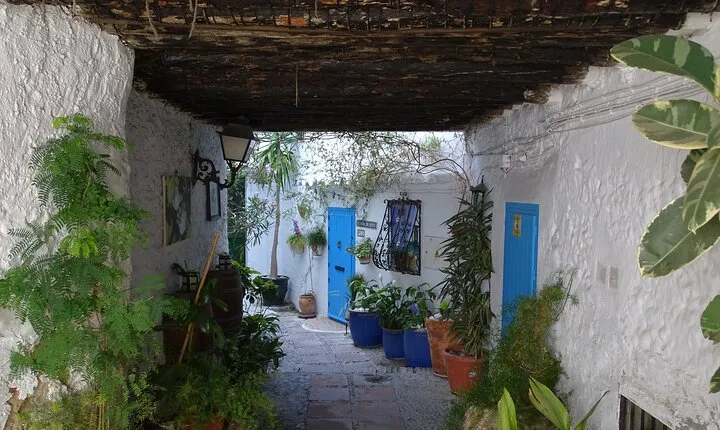 Private walking tour around the Old Town of Frigiliana