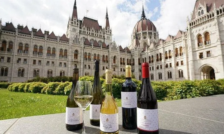 Private Budapest sightseeing tour with Etyek Wine tour and lunch