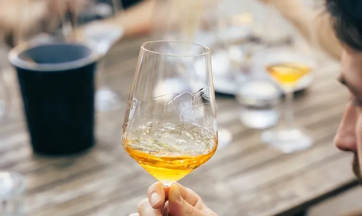 Private Wine Tasting Experience in Ljubljana