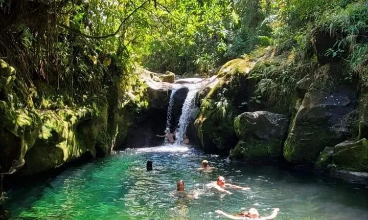 Full Day Hidden Waterfalls and Relaxing Yoga in Nature Tour