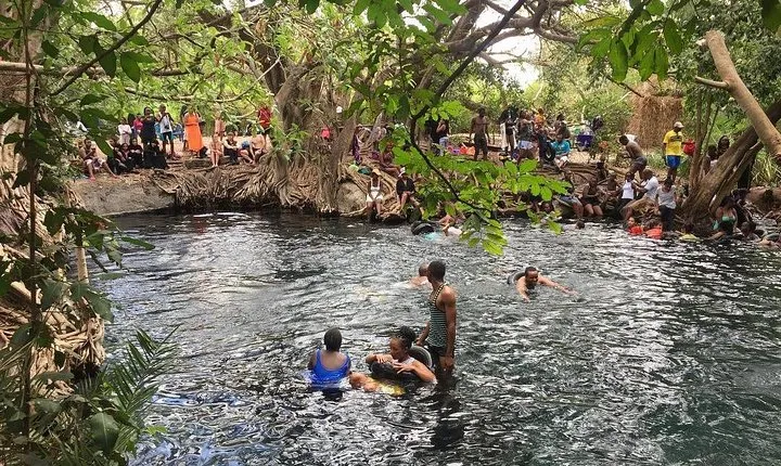 Kikuletwa hot spring and Arusha Cultural Heritage, Full Day Tour 