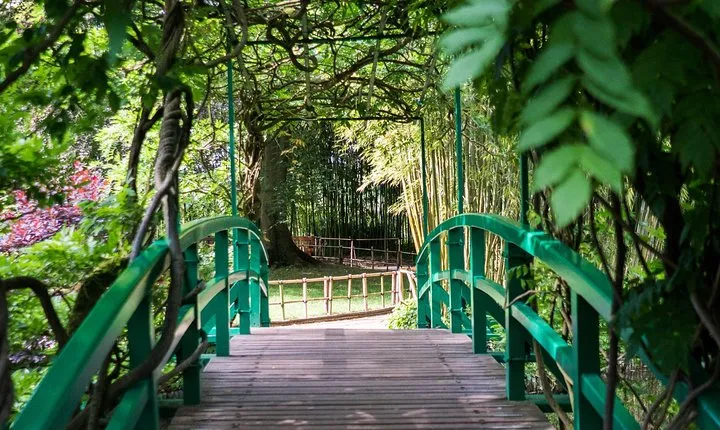 Giverny Small-Group Half Day Trip with Monet’s Gardens from Paris