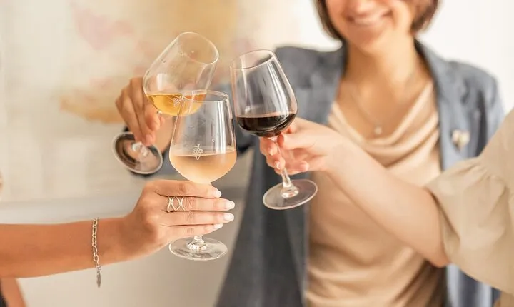 Introduction to Wine Tasting in Nice city centre