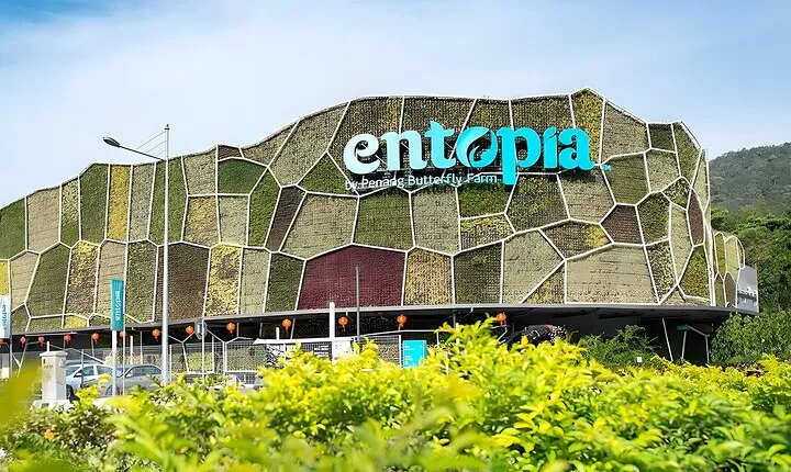 Entopia Butterfly Farm & Tropical Spice Garden Tour