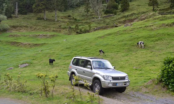 Half-Day Private Tour to Sete Cidades from Ponta Delgada