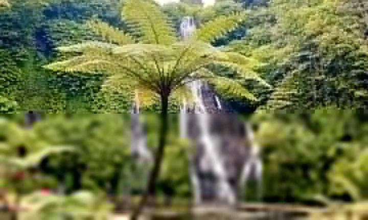Banyuwana & Banyumala Waterfalls Tour (Private & All-Inclusive )