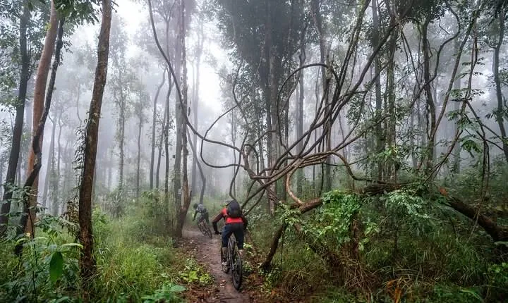 Smoke on the Water Trail Mountain Biking Tour Chiang Mai