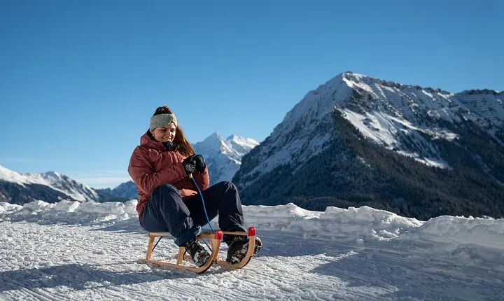 Day Sledding in Interlaken