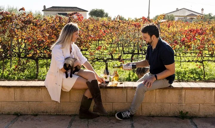 TOP WINE TOUR- Vineyard & cellar visit + 6 top wines + tapas
