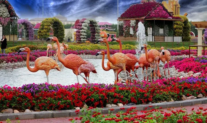 Dubai: Skip The Line Ticket to Miracle Garden or Butterfly Garden