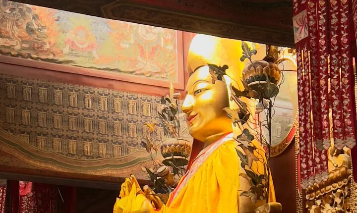 Lama Temple Tour with Tickets: Beijing's Hidden Mystical World